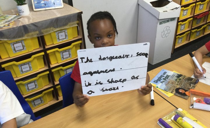 Image of Year 2 (Class 6) - English - Descriptive Vocabulary