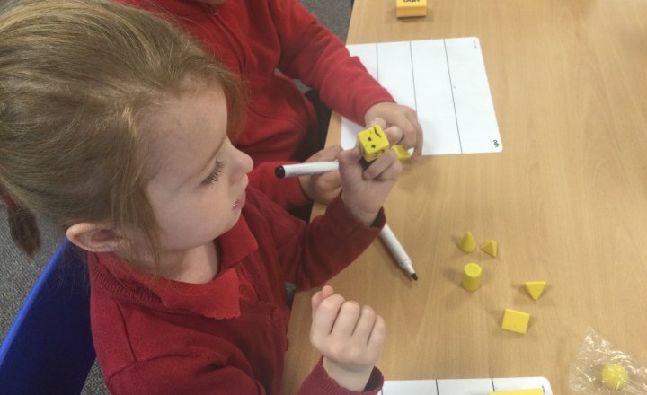 Image of Year 2 (Class 6) - Maths - 3D Shapes