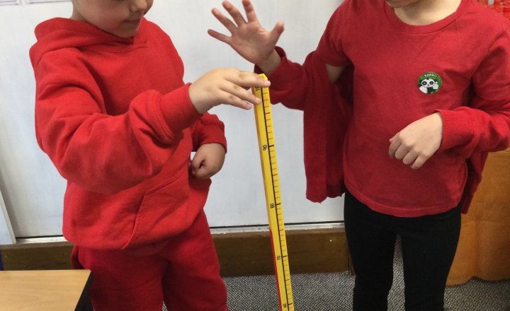 Image of Year 2 (Class 6) - Science - Bouncy Balls