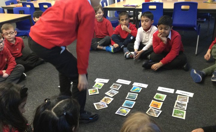 Image of Year 2 (Class 6) - Science - Classifying Animals