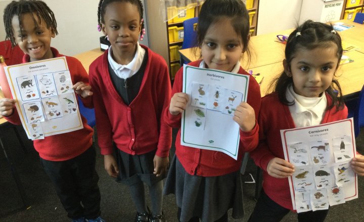 Image of Year 2 (Class 6) - Science - Living Things