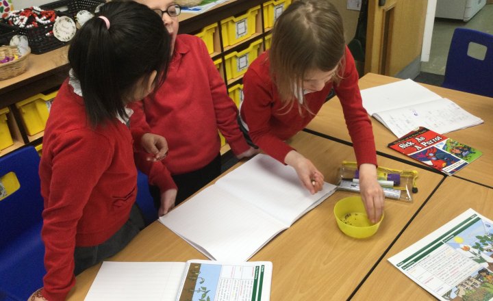 Image of Year 2 (Class 6) - Science & Oracy