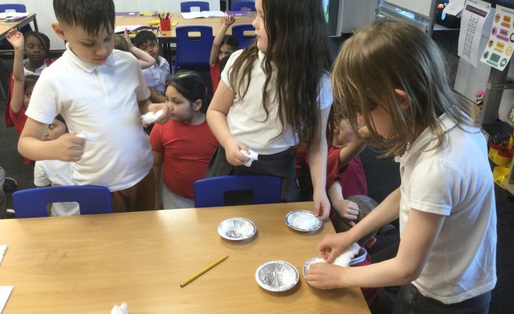 Image of Year 2 (Class 6) - Science - Plants & Temperature