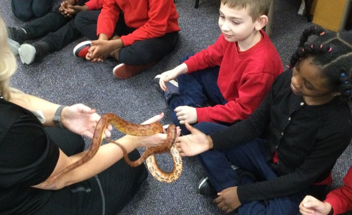 Image of Year 2 (Class 6) - Science - Zoolab Visit