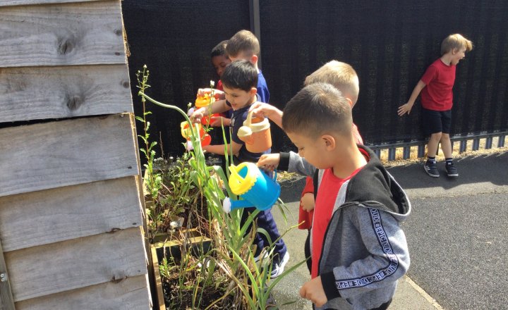 Image of Year 2 - Science - Plants & Water