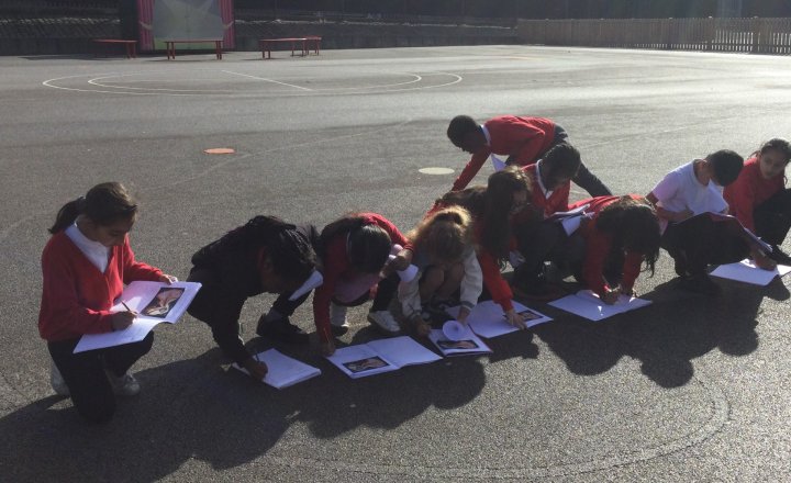 Image of Year 3 (Class 10) - Science - Animal Ears
