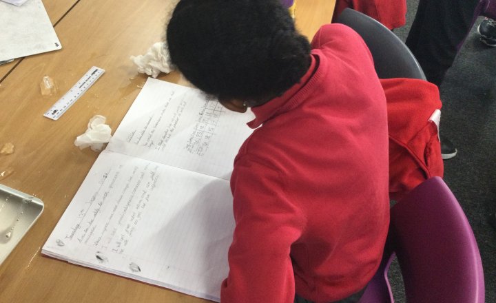 Image of Year 3 (Class 11) - Science - How could Victorians make their ice last longer?
