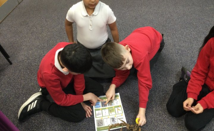 Image of Year 3 (Class 7) - Science - Gardening