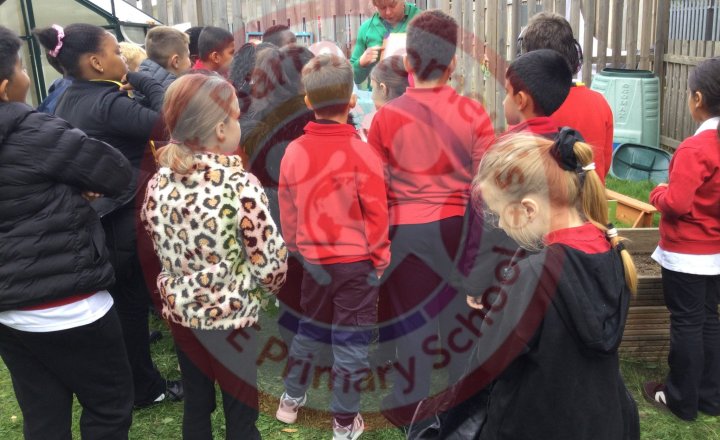 Image of Year 3 (Class 7) - Science - Grow your own Skills