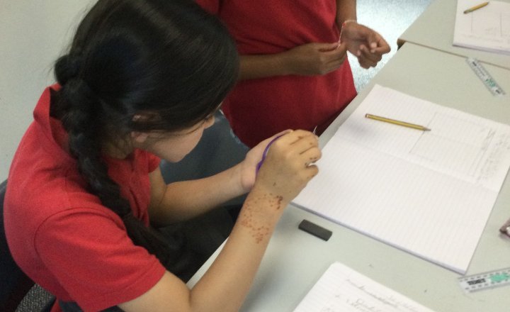 Image of Year 3 (Class 7) - Science - Magnetism