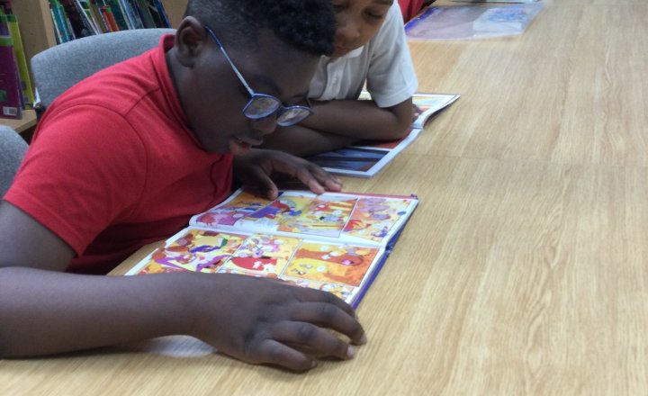Image of Year 3 (Class 8) - English - Library Time