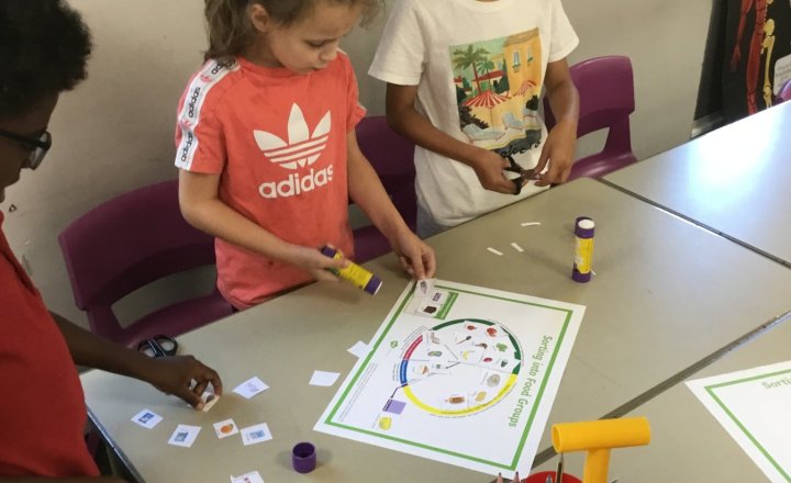 Image of Year 3 (Class 8) - Science - Amazing Bodies