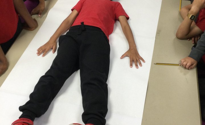 Image of Year 3 (Class 8) - Science - Amazing Bodies