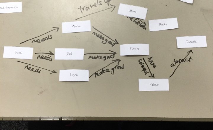 Image of Year 3 (Class 8) - Science - Concept Mapping