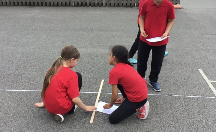 Image of Year 3 (Class 8) - Science - Femurs