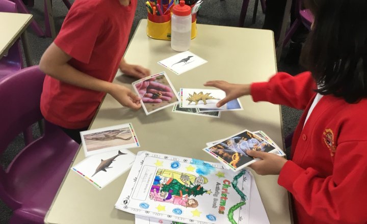 Image of Year 3 (Class 8) - Science - Fossils