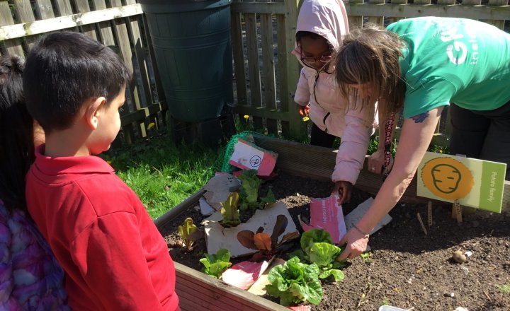 Image of Year 3 (Class 8) - Science - Grow to School Update (2026)