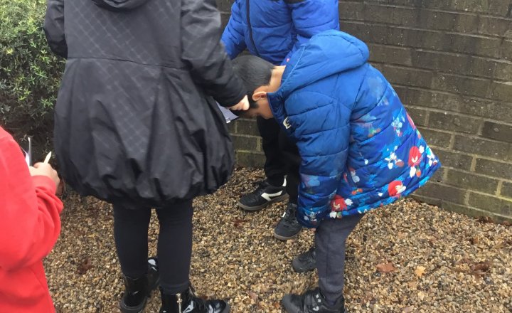 Image of Year 3 (Class 8) - Science - Rock Hunt