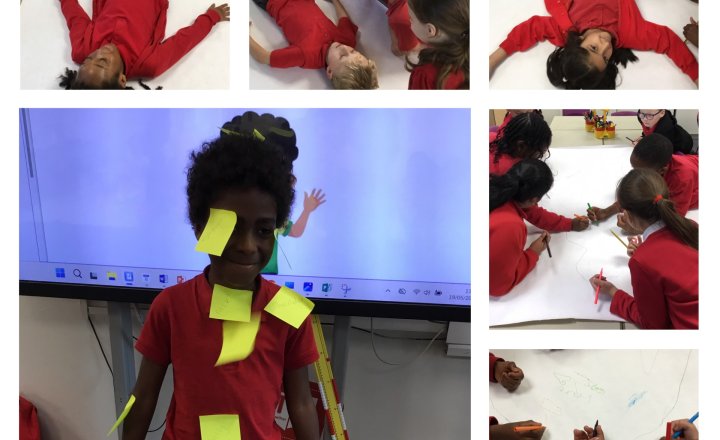 Image of Year 3 (Class 8) - Science - The Human Body