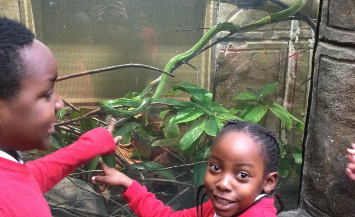 Image of Year 3 (Class 9) - Geography / Science - Tropical World Trip