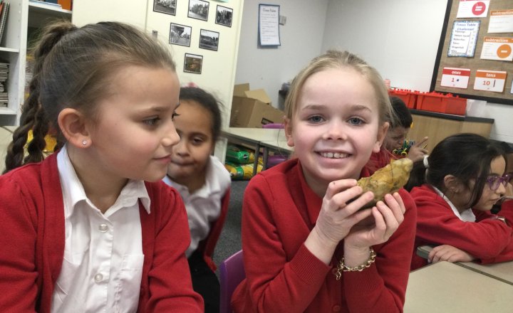 Image of Year 3 (Class 9) - History - Artefacts from the Stone Age