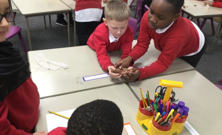 Image of Year 3 (Class 9) - History - The Stone Age
