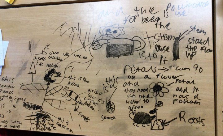 Image of Year 3 (Class 9) - Science - Concept Maps