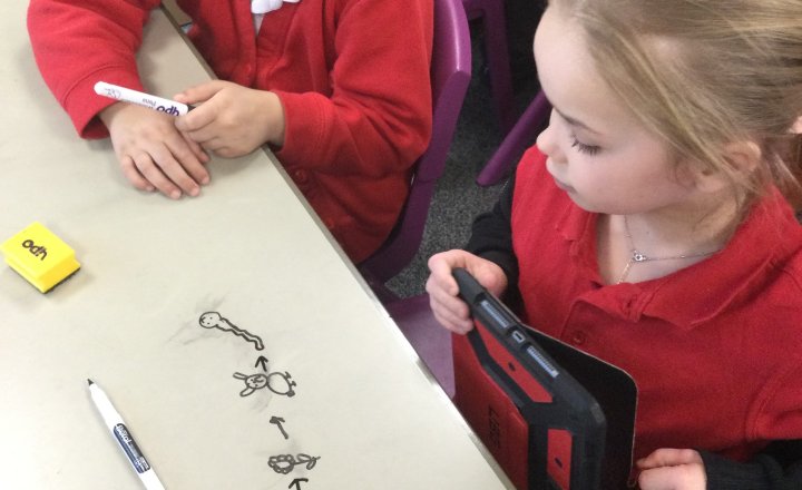 Image of Year 3 (Class 9) - Science - Food Chains