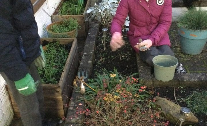 Image of Year 3 (Class 9) - Science - Garden Wildlife Club