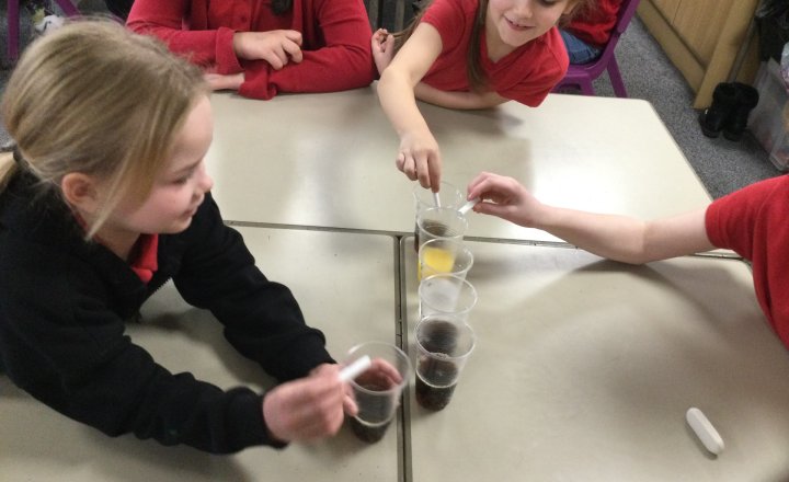 Image of Year 3 (Class 9) - Science - Human Teeth