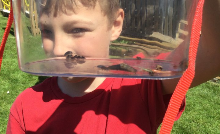 Image of Year 3 (Class 9) - Science - The School Wildlife Garden
