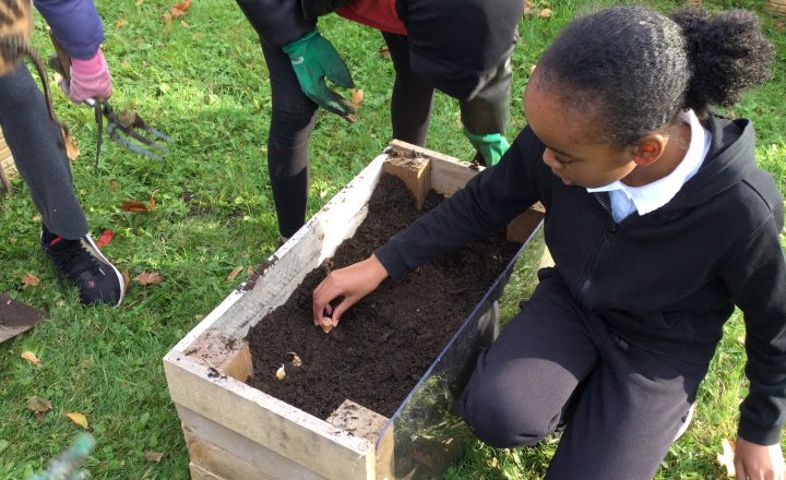 Image of Year 3 (Class 9) - Science - Wildlife Club