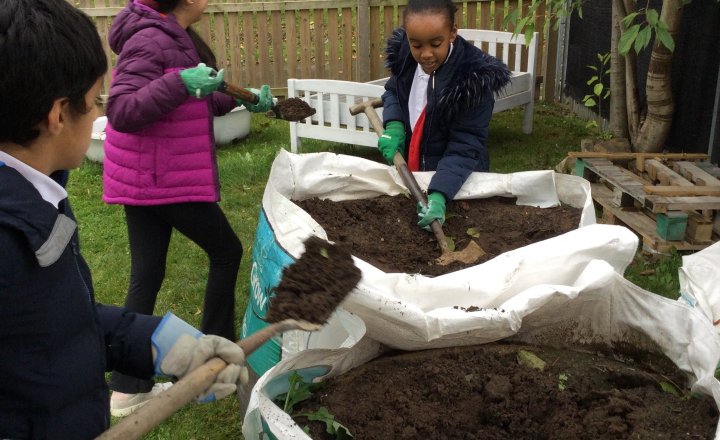 Image of Year 3 (Class 9) - Science - Wildlife Club