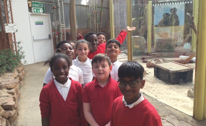 Image of Year 4 (Class 10) - Geography - Tropical World Trip
