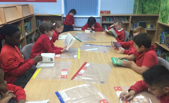 Image of Year 4 (Class 11) - English - Our School Library