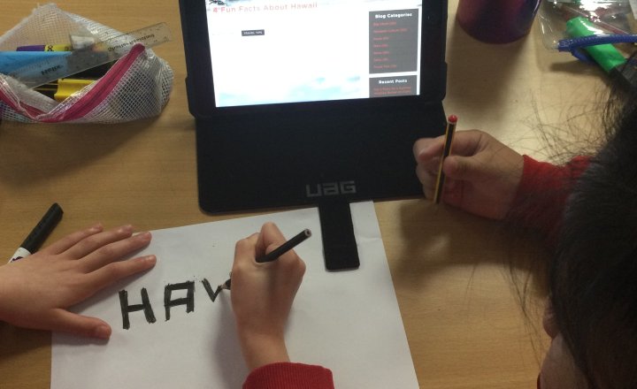 Image of Year 4 (Class 11) - Geography - The United States of America