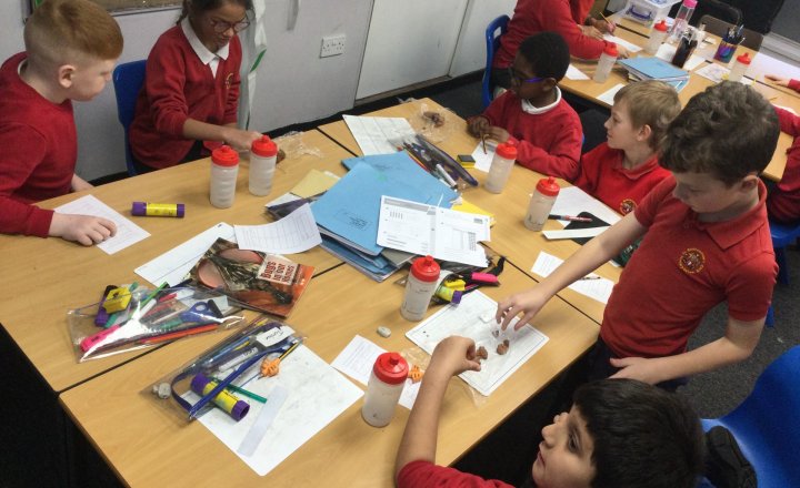 Image of Year 4 (Class 11) - History - The Stone Age