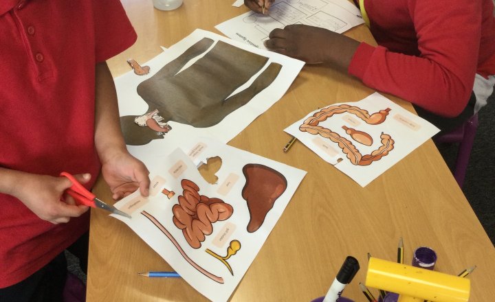 Image of Year 4 (Class 11) - Oracy / Science - Linguistic Skills