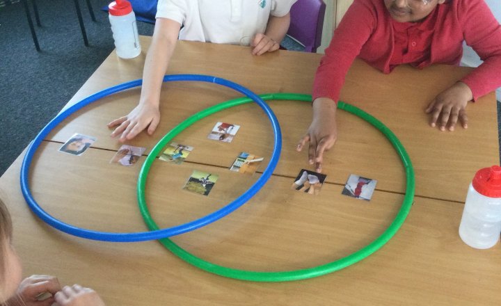 Image of Year 4 (Class 11) - Science - Forces & Magnets