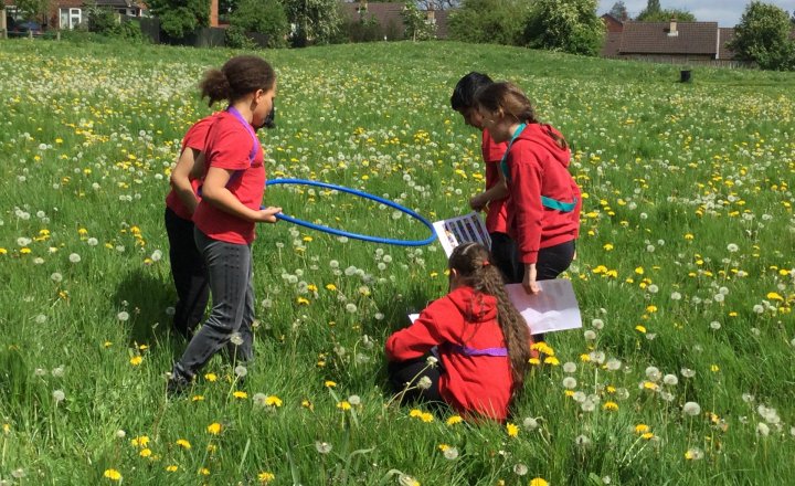 Image of Year 4 (Class 11) - Science - Living Things