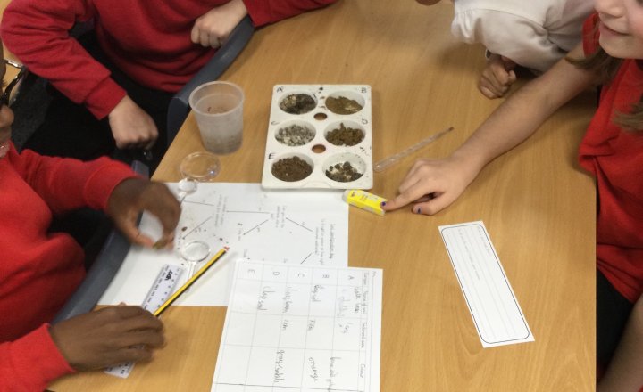 Image of Year 4 (Class 11) - Science - Soil Samples