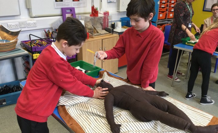 Image of Year 4 (Class 12) - History - Leeds City Museum Trip