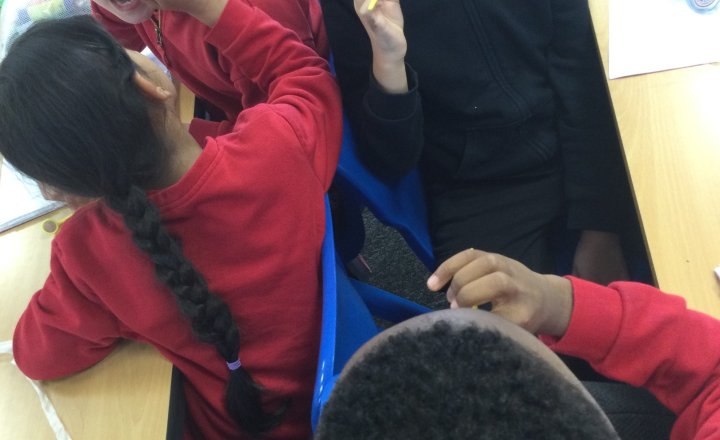 Image of Year 4 (Class 12) - Science - Dental Mirrors