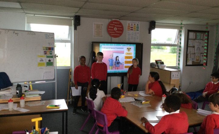 Image of Year 4 (Class 12) - Oracy / Science - Endangered Animals