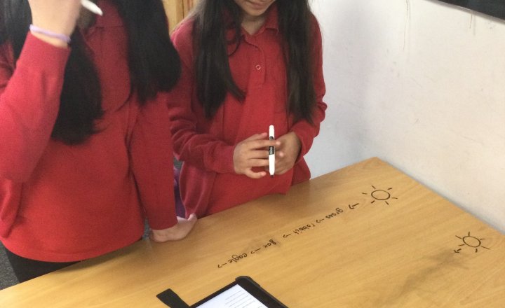 Image of Year 4 (Class 12) - Science - Food Chains