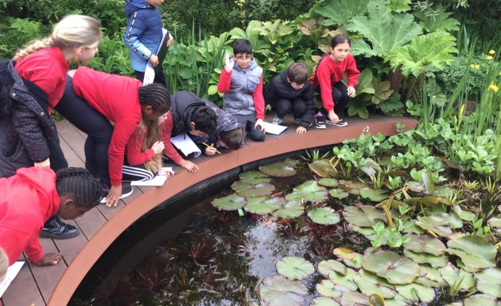 Image of Year 4 (Class 12) - Science - Harlow Carr Trip