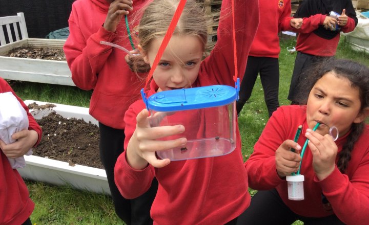 Image of Year 4 (Class 12) - Science - Living Things