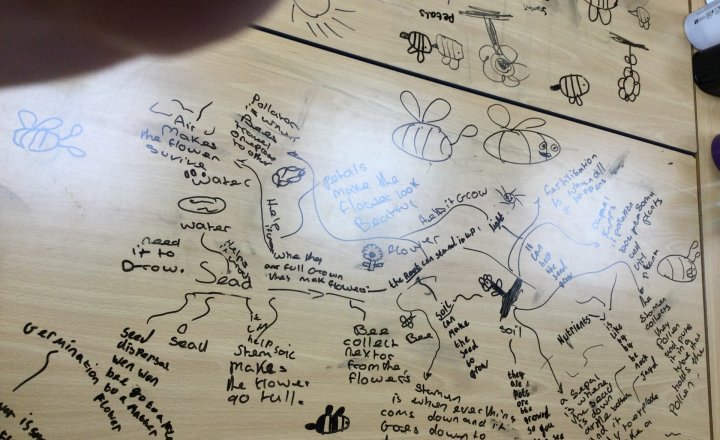 Image of Year 4 (Class 9) - Science - Concept Maps