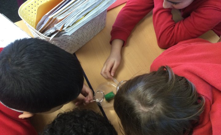 Image of Year 4 (Class 9) - Science - Substances and Teeth