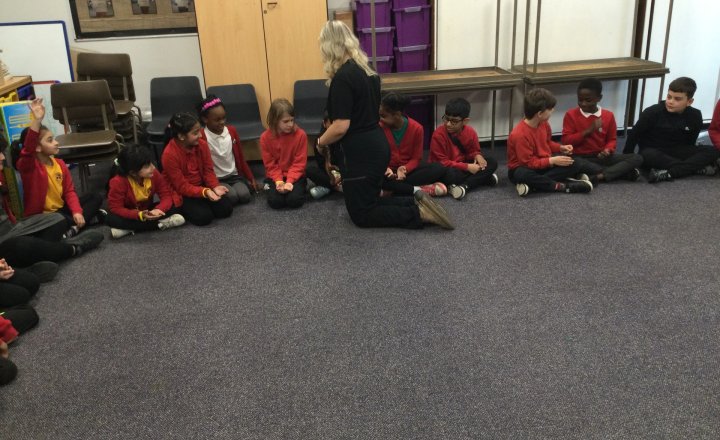 Image of Year 4 (Class 9) - Science - Zoolab